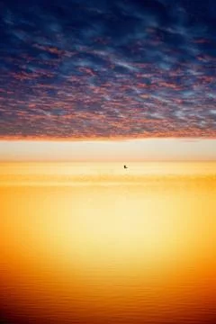 Peaceful sunset Фото