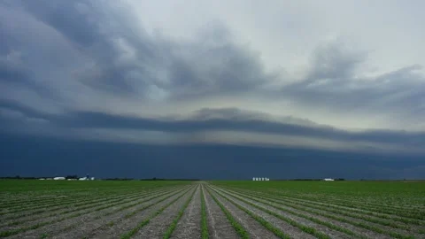 Peaceful Sunset Storm with Lightning Strikes Stock Footage 295186990