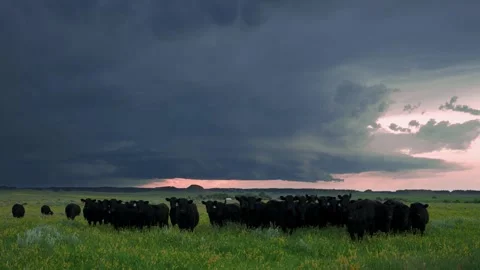 Peaceful Sunset Storm with Lightning Strikes Stock Footage 295187036