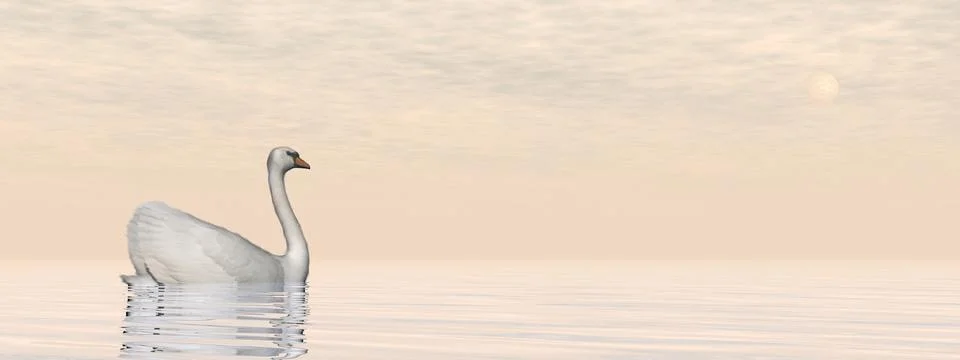 Peaceful swan - 3D render Stock Illustration