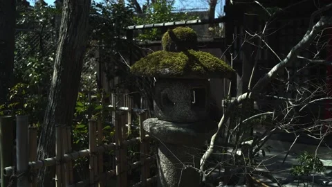 Peaceful Temple Grounds with Traditional Architecture Japan Stock Footage 331562291