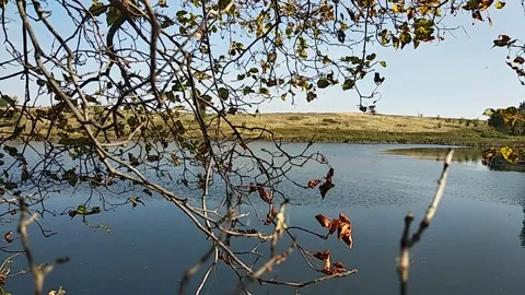 Peaceful, tranquil video view of a quiet lake and calm pond in early autumn. Stock Footage 327809049