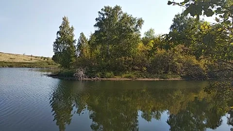 Peaceful, tranquil video view of a quiet lake and calm pond in early autumn. Stock Footage 327809072