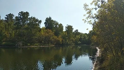 Peaceful, tranquil video view of a quiet lake Stock Footage 327809079