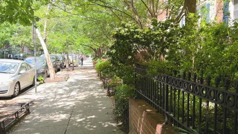 Peaceful tree-covered sidewalk with brick and iron fencing Stock Footage 323574682