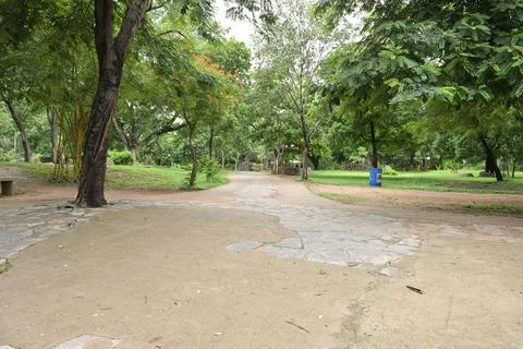 Peaceful tree lined pathway through lush tropical botanical park landscape Fotos Stock