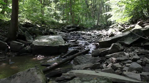 Peaceful Trickling Water Stream in Nature Stock Footage