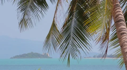 Peaceful tropical beach Stock Footage 60965335