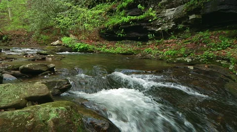 Peaceful Trout Stream 4 Vídeo Stock 1729751