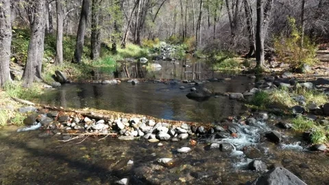 Peaceful Upstream Journey  Stock Footage 167440197