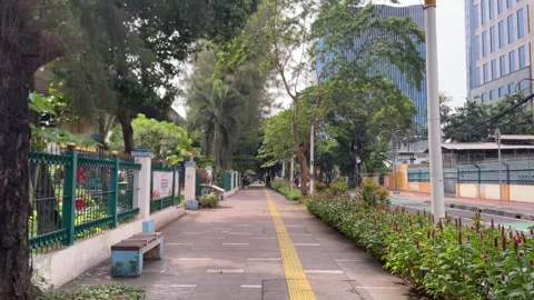 A peaceful urban sidewalk lined with trees, plants and a tactile guiding path. 库存影片 333809651