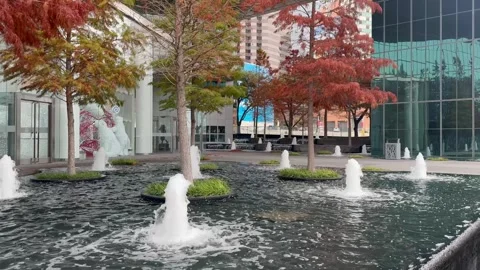 Peaceful Urban Water Feature with Fall Foliage Stock Footage 344596560