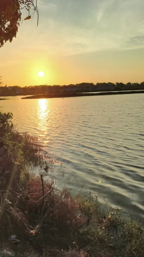 Peaceful Vertical Sunset Reflection on Calm River Water Stock-Footage 340489863
