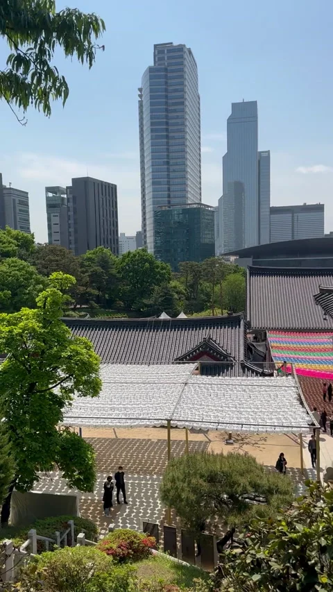 A peaceful view of a cityscape blended with vibrant trees Stock Footage 315673953