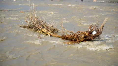 Peaceful view of Dander River after flood Stock Footage 321040606