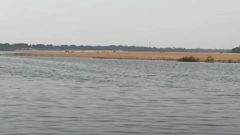 Peaceful View of Devi River Flowing Through Natural Landscape in Odisha India 库存影片 338040557