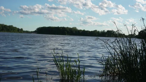 Peaceful view of a kayaker on a lake through swaying reeds Stock Footage 338118943