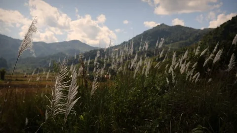 Peaceful view of mountains in Laos Stock Footage 104121152