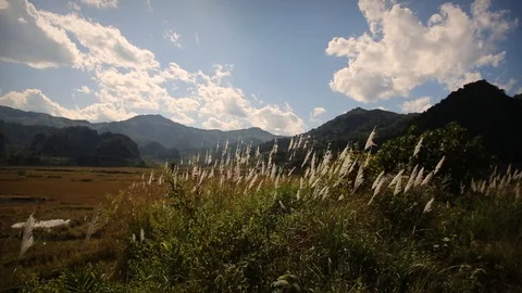 Peaceful view of mountains in Laos2 Stock Footage 104121112