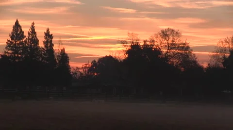 Peaceful view of the ranch Video stock 45756422