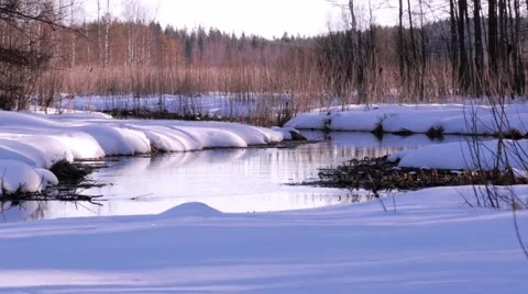 Peaceful view of a river streaming slowly in Nordic winter landscape Stock Footage 61840119
