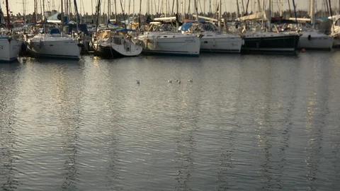 Peaceful view on small harbour with many parked sailing boats at early morning b Stock Footage 99114530