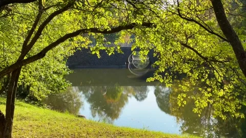 A peaceful view of a small pond or river, framed by the bright green leaves and Stock Footage 315317422