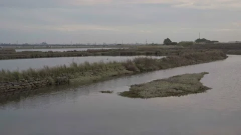 Peaceful view by the water Stock Footage 237909951