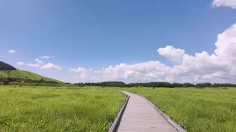 Peaceful Walk in Japan Under Clear Blue Skies Stock Footage 336840799