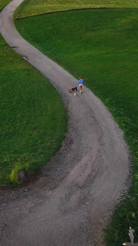 A Peaceful Walk Through Alpe di Siusi Vídeo Stock 345994657