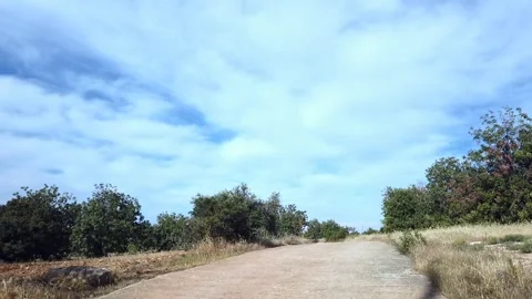 A peaceful walking path Stock Footage 309511816