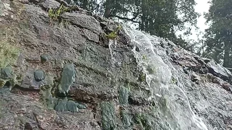 Peaceful Water Stream Cascading Down a Mossy Stone Wall. Stock Footage 334345145