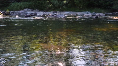 Peaceful water stream on summer river. Stock Footage