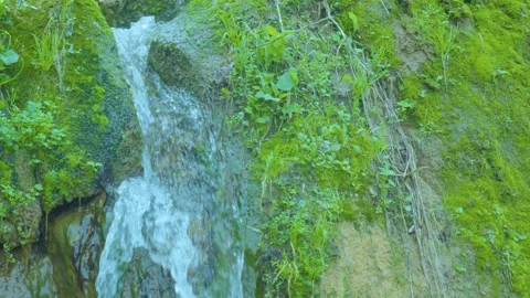 A Peaceful Waterfall Cascading Through Lush Greenery and Moss-Covered Rocks Stock Footage 280473670