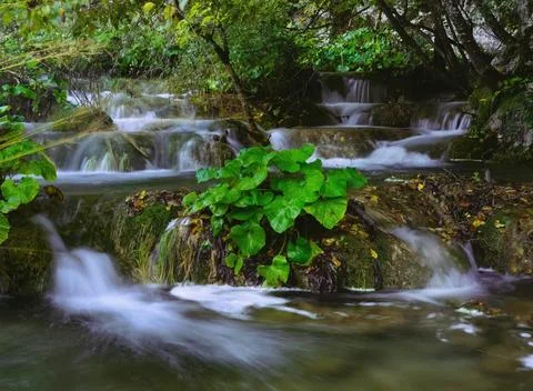 Peaceful Waterfall Flowing Over Rocks Surrounded by Lush Greenery Stock Photos