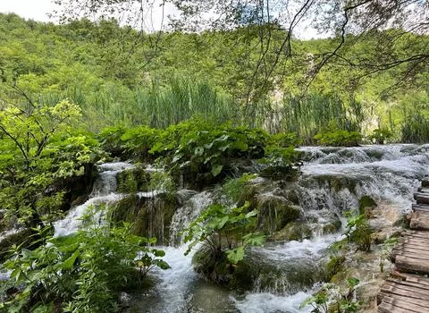 Peaceful Waterfall Flowing Over Rocks Surrounded by Lush Greenery Stock Photos