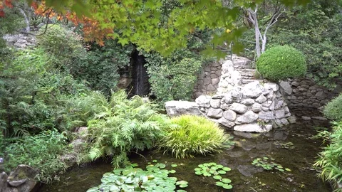 Peaceful Waterfall Wide Angle Stock Footage 82429336