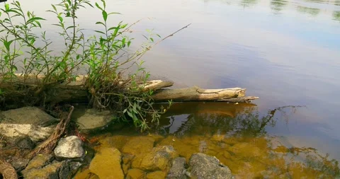 Peaceful waterfront 動画素材 245982759