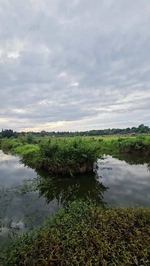 Peaceful Wetland Reflection Under a Dramatic Cloudy Sky Stock Footage 340582016