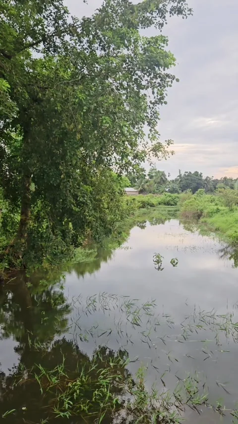 Peaceful Wetland Reflection Under a Dramatic Cloudy Sky Stock Footage 340582018