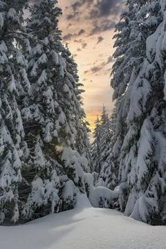 Peaceful winter background 스톡 사진