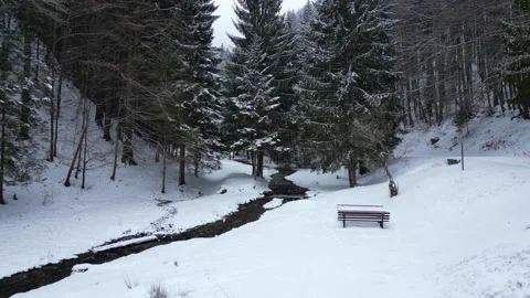 Peaceful Winter Forest Landscape With Snowy Stream And Empty Wooden Bench Stock Footage 326422360