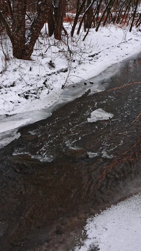 Peaceful Winter Forest Scene with River in Courtice Ontario Canada Vidéo 334548161