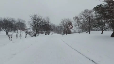 Peaceful Winter Park With Bare Trees and Snow Stock Footage 323422856