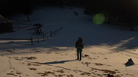 A peaceful winter stroll through a snowy landscape with a dog in Carpathians. Stock Footage 290943890