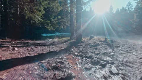 Peacefull mountain Trebevic Video stock 272793142