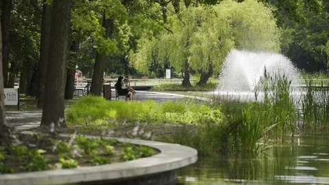 Peacefull park Stock Footage 77354960