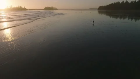 Peacefully Walking Barefoot on the Wet Sand During Ocean Sunset Beach Stock Footage 170519336