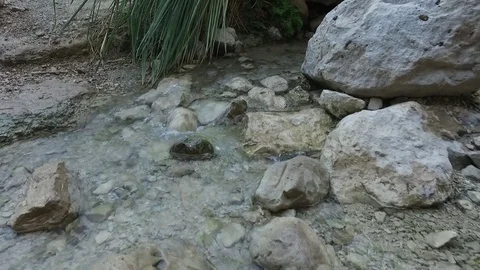 Peacfull Stream Stock Footage 79524611