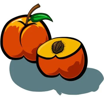 Peach and Half Illustrazione stock